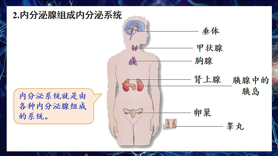 17868234第5页