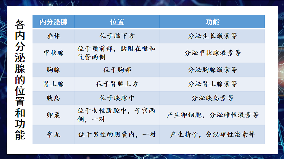 17868234第6页