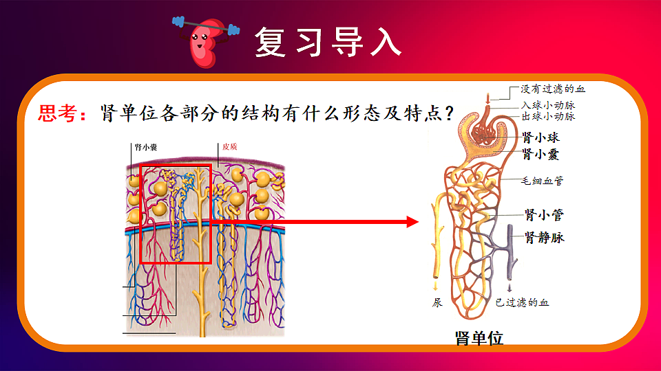 17868235第3页