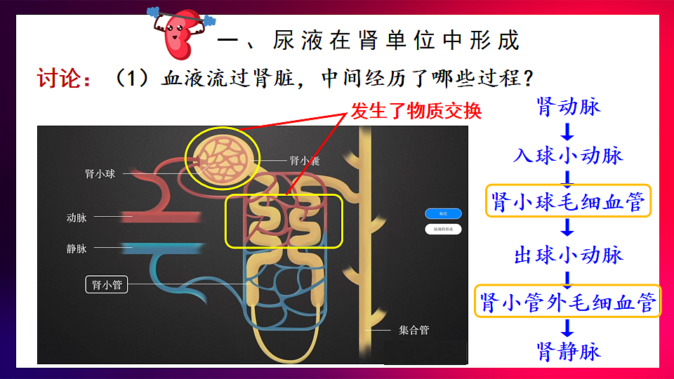 17868235第5页