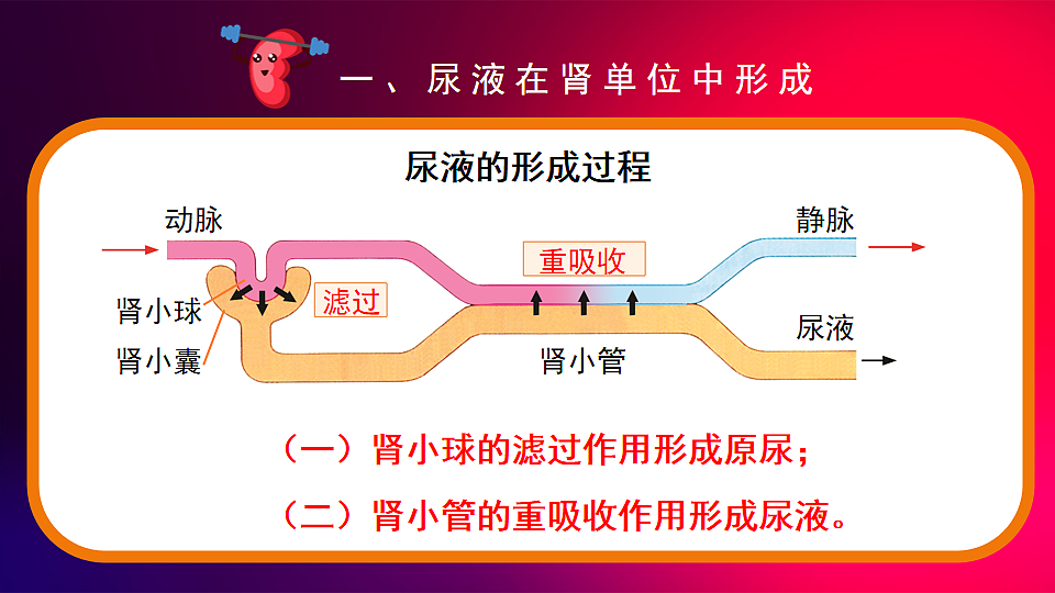 17868235第8页