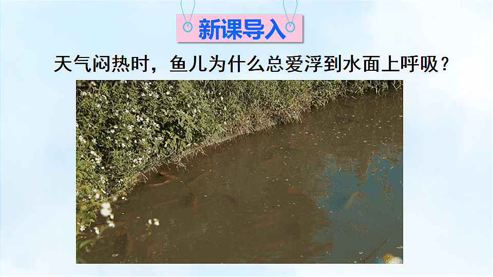 科粤版九年级化学下册教学课件《7.2 物质溶解的量 第3课时 气体物质的溶解度》第2页