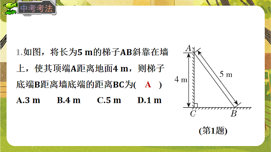 17868398第7页