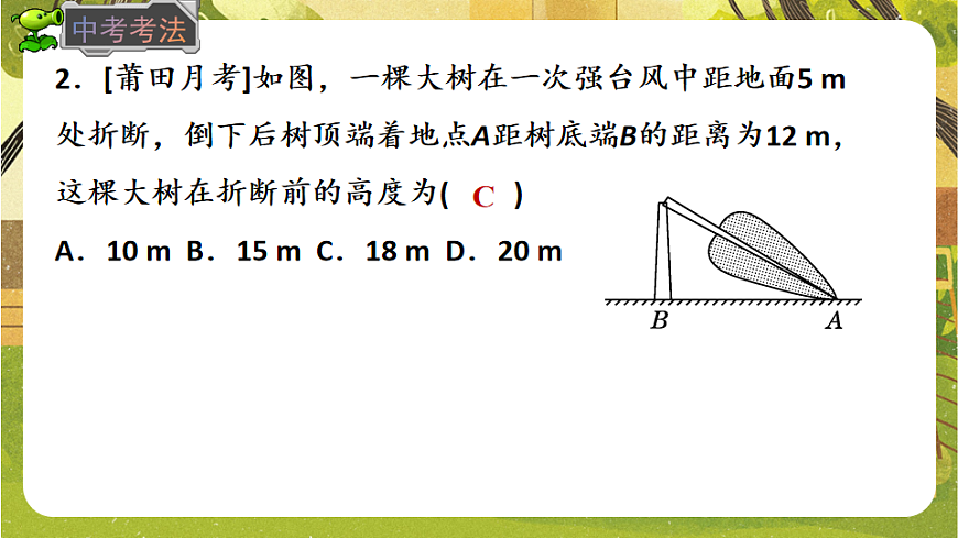17868398第8页