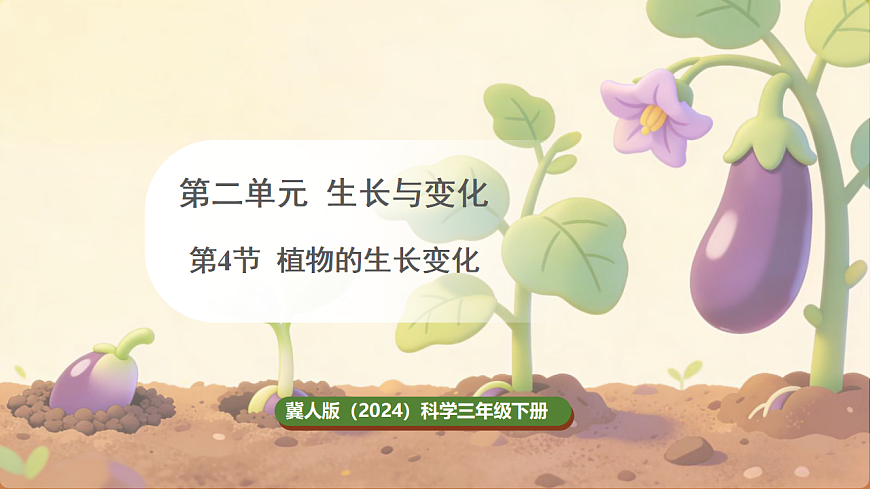17869162第1页