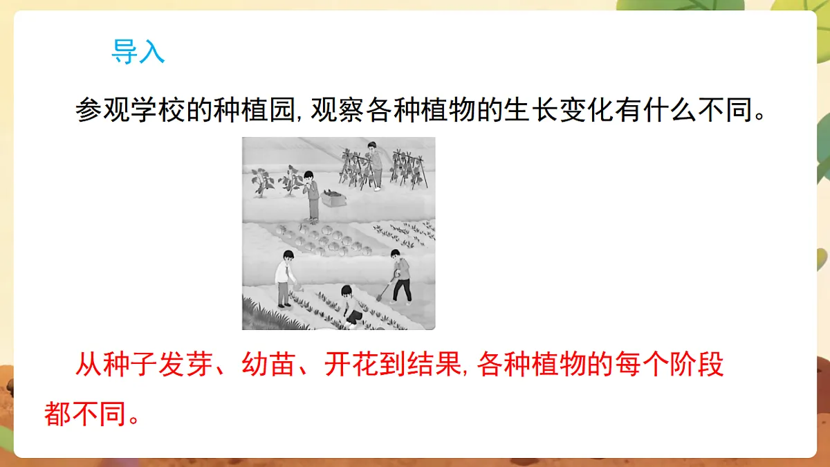 17869162第2页