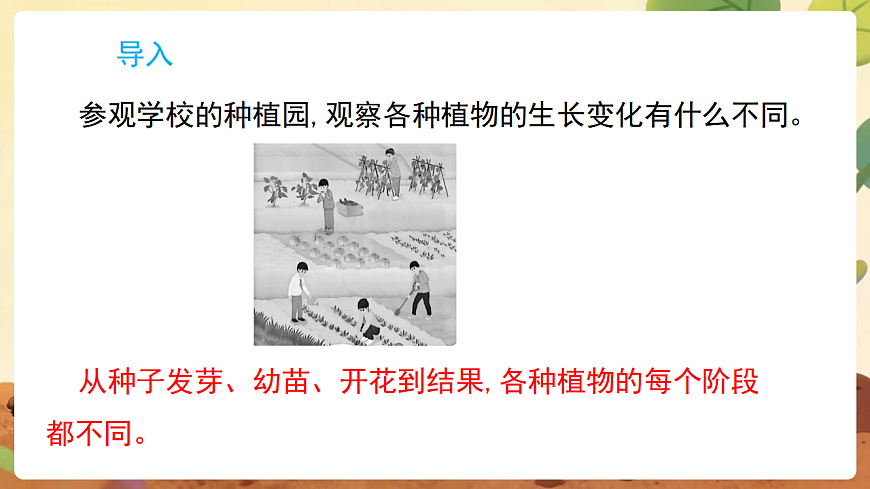 17869162第2页