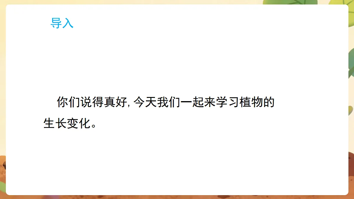 17869162第3页