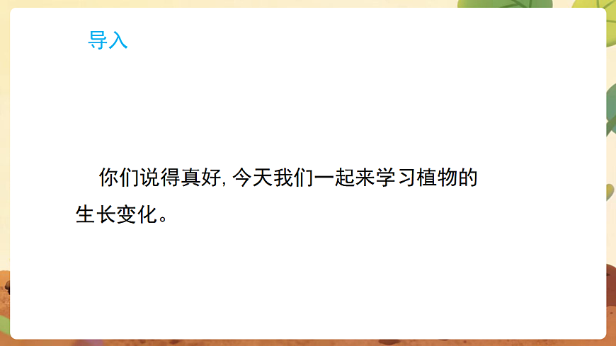 17869162第3页