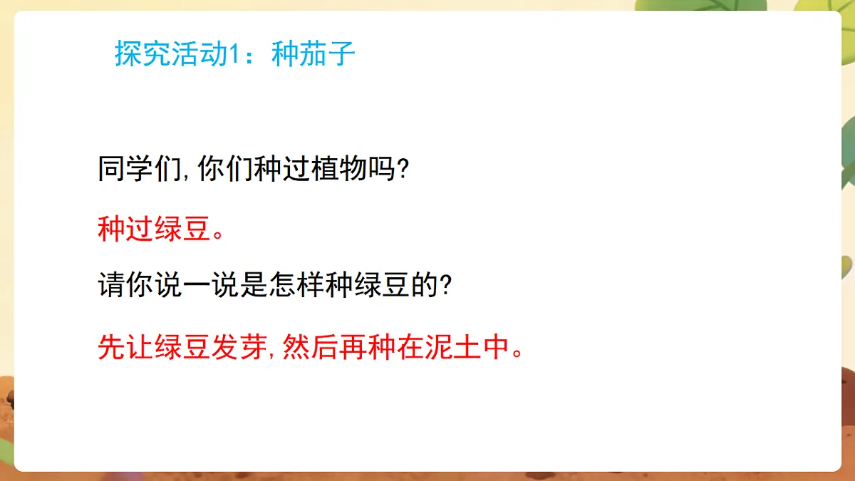 17869162第4页