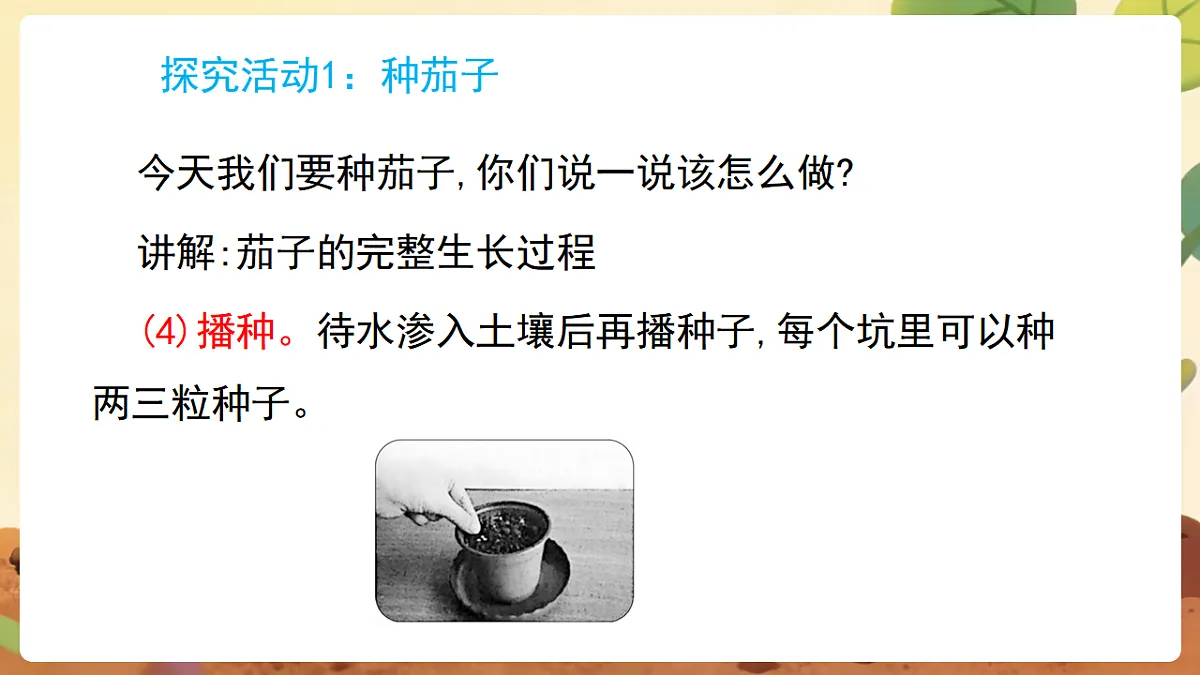 17869162第8页