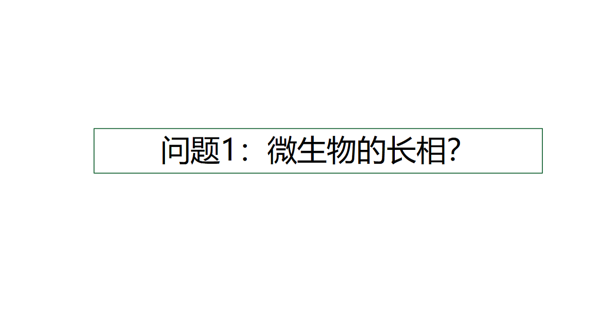 17869335第5页