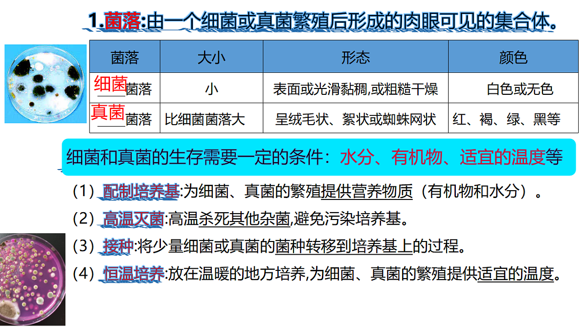 17869335第6页