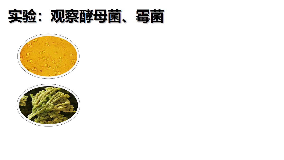 17869335第8页