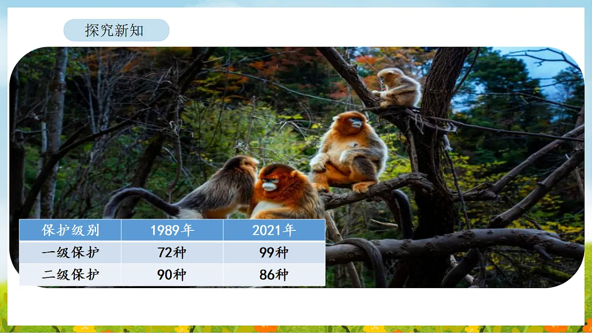 2026年北师大数学二年级下册 6.3 保护野生哺乳动物（课件）第5页