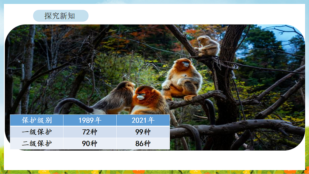 2026年北师大数学二年级下册 6.3  保护野生哺乳动物（课件）第5页