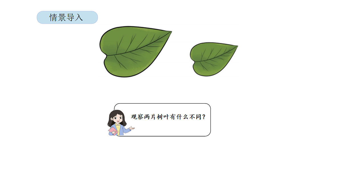 2026年北京版三年级数学下册 第三单元 第二课时 认识面积（课件）第3页