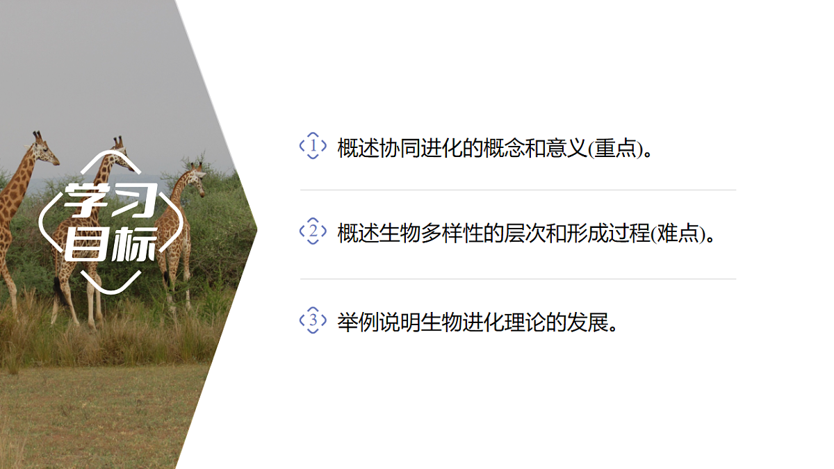 【同步授课课件】人教版高中生物必修二 遗传与进化第六章 6.4 协同进化与生物多样性的形成第2页