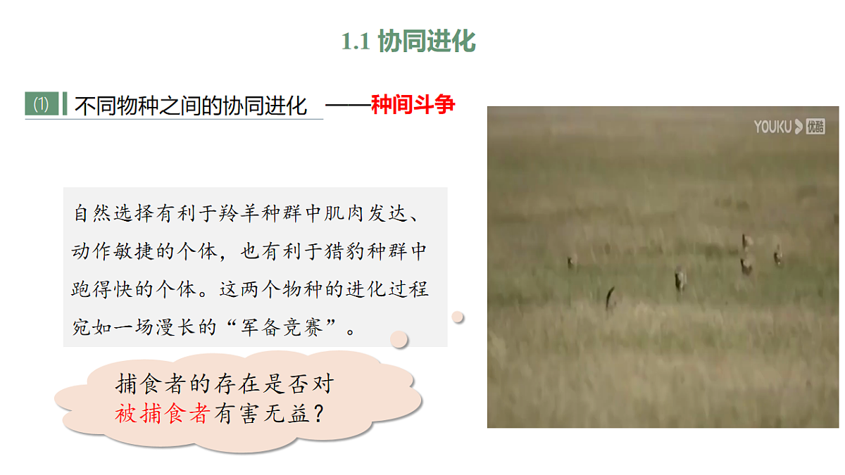 【同步授课课件】人教版高中生物必修二 遗传与进化第六章 6.4 协同进化与生物多样性的形成第8页