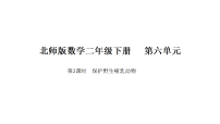 北师大版（2024）二年级下册（2024）保护野生哺乳动物课文配套ppt课件