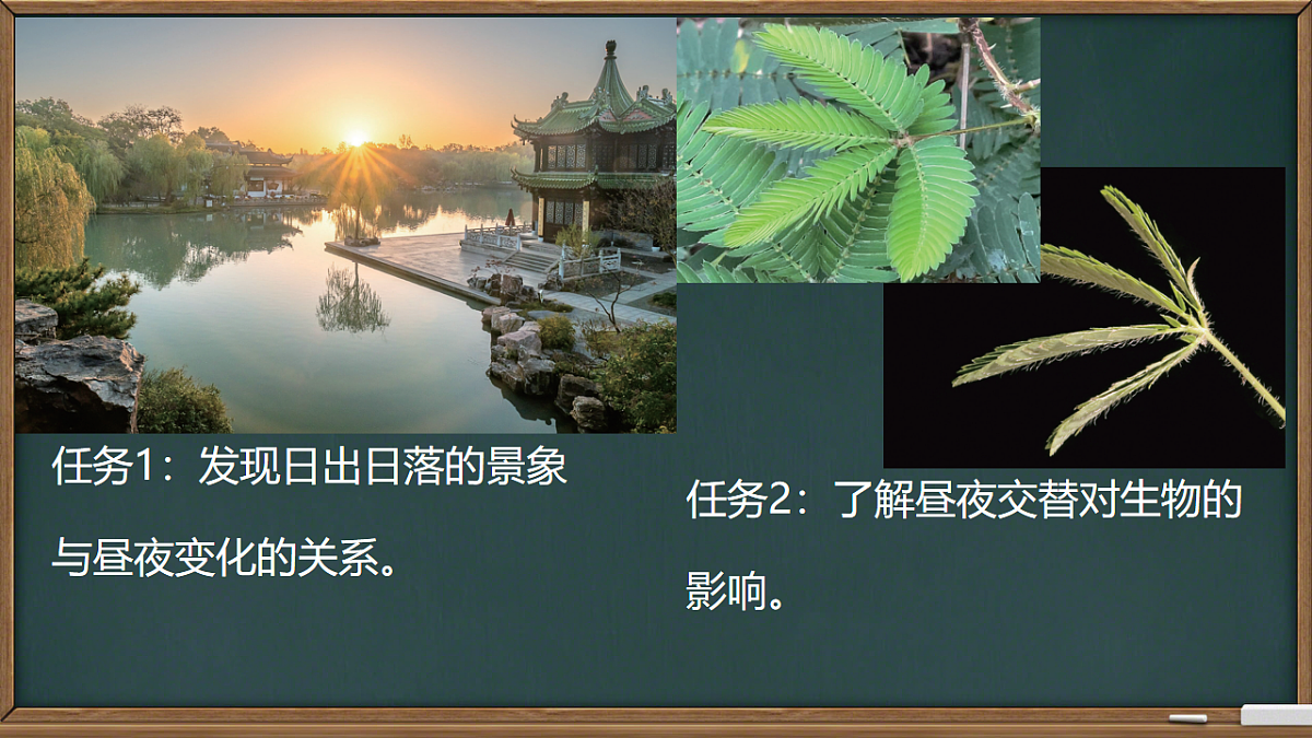 17871236第6页