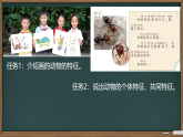 2.6 常见的动物 课件 2025-2026学年科学一年级下册粤教粤科版