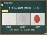 2.6 常见的动物 课件 2025-2026学年科学一年级下册粤教粤科版