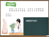2.5 观察植物课件 2025-2026学年科学一年级下册粤教粤科版