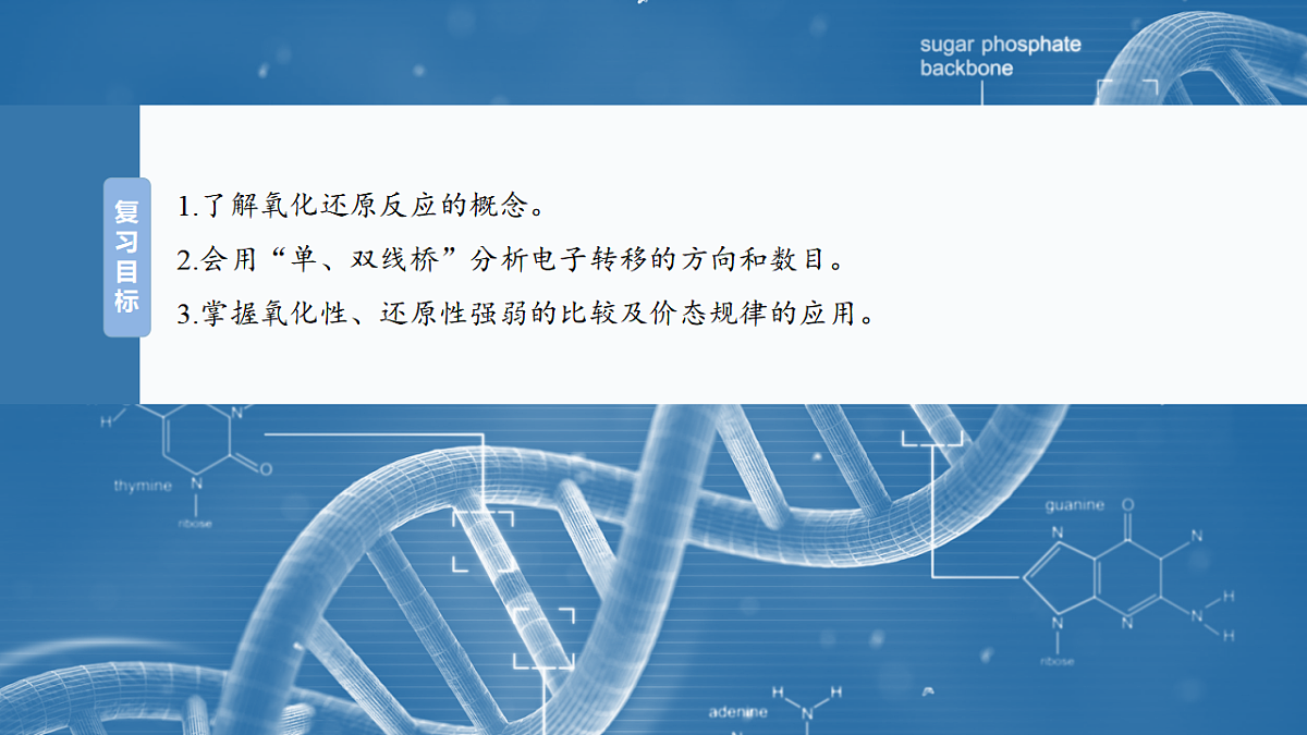 17872770第2页