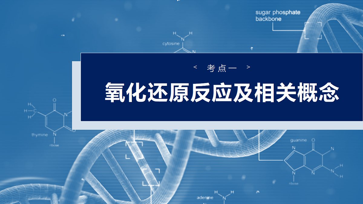 17872770第4页