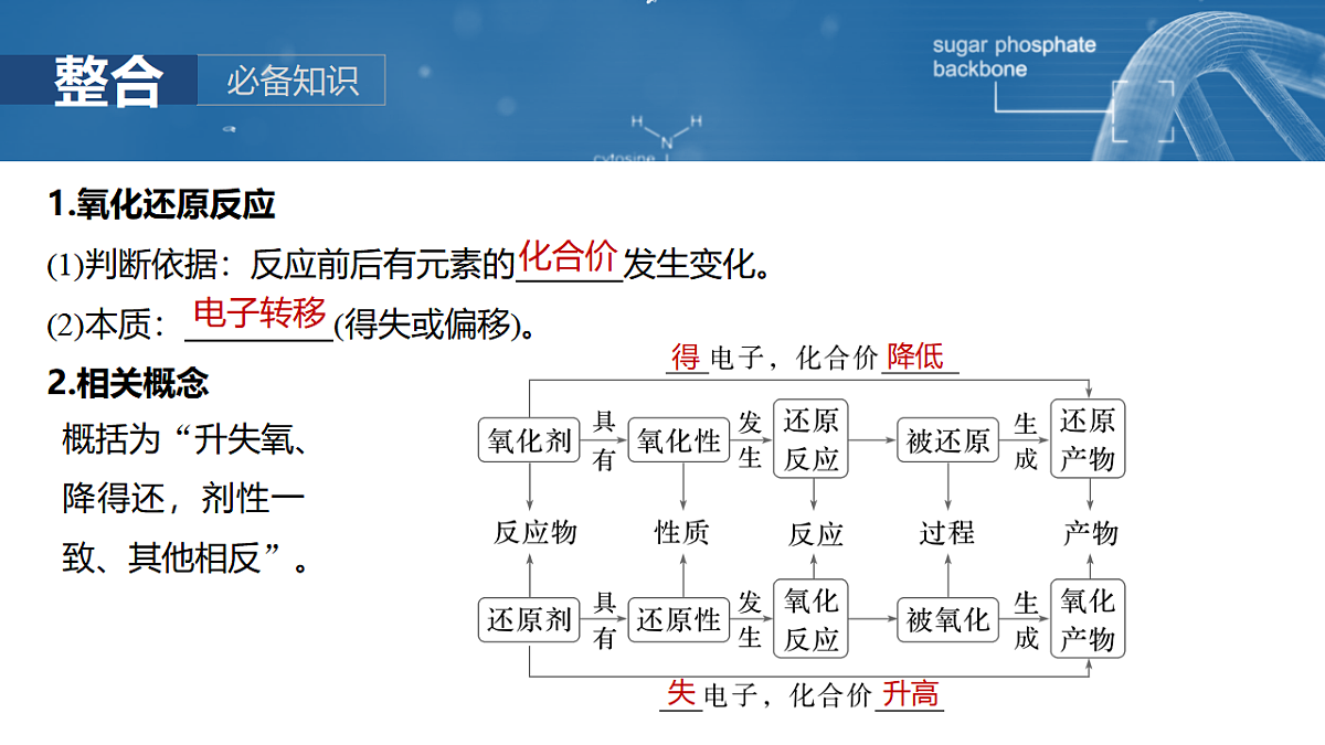 17872770第5页