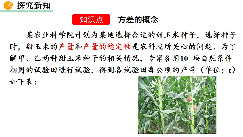 17873237第5页
