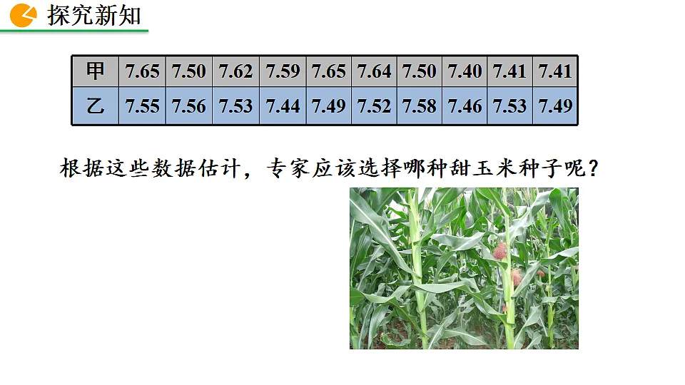 17873237第6页