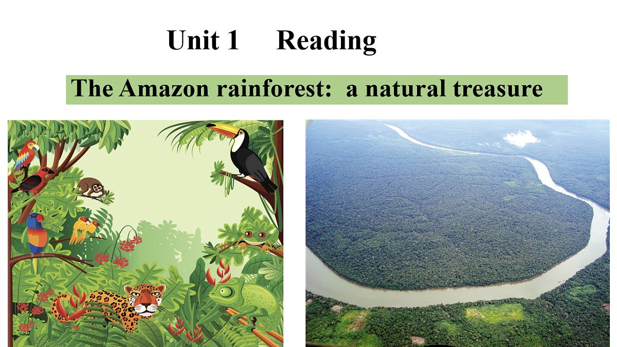 译林高一英语必修三Unit 1 Nature in the balance Reading 课件第1页