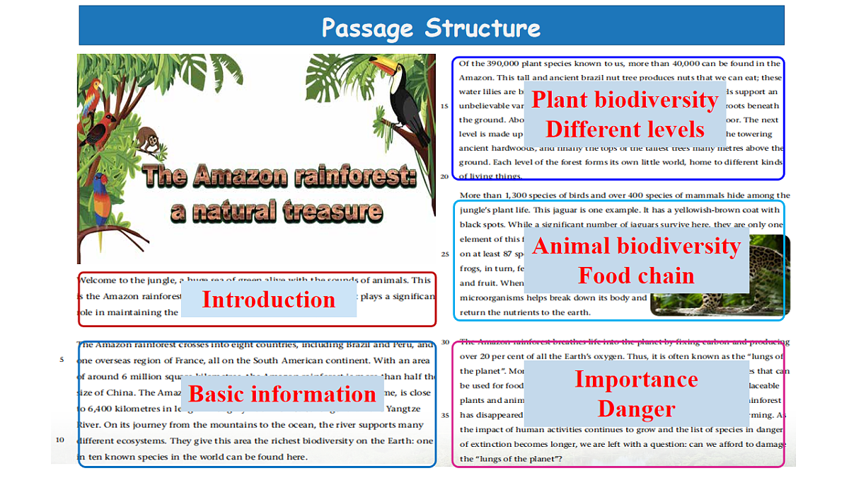 译林高一英语必修三Unit 1 Nature in the balance Reading 课件第5页