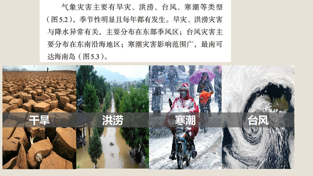 17873816第4页