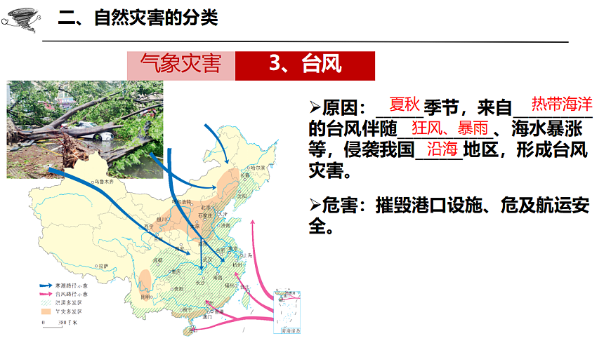 17874295第8页
