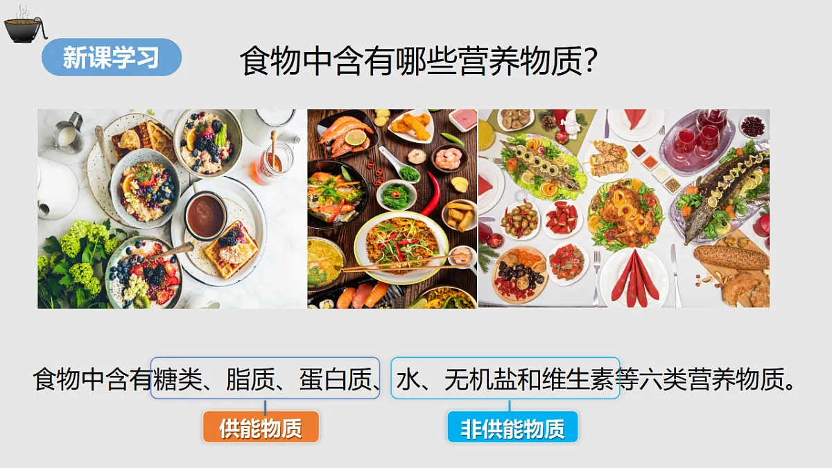 17877025第3页