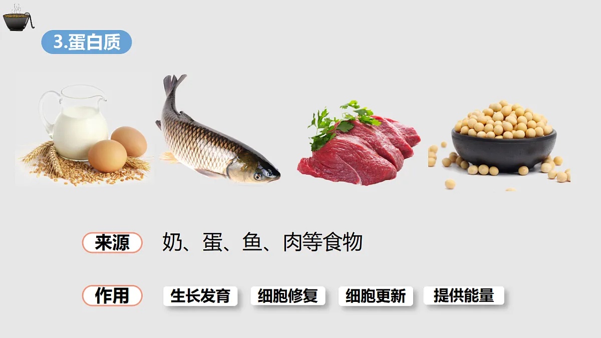 17877025第7页