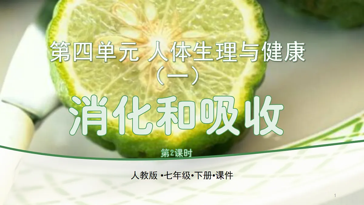 17877091第1页