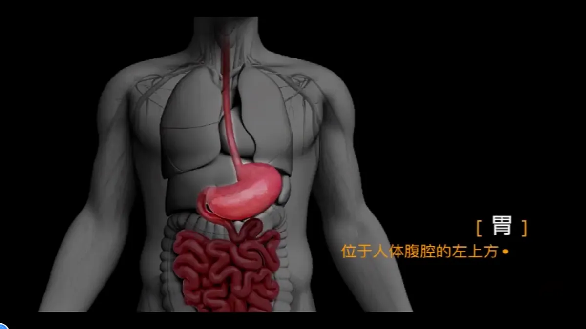 17877091第3页