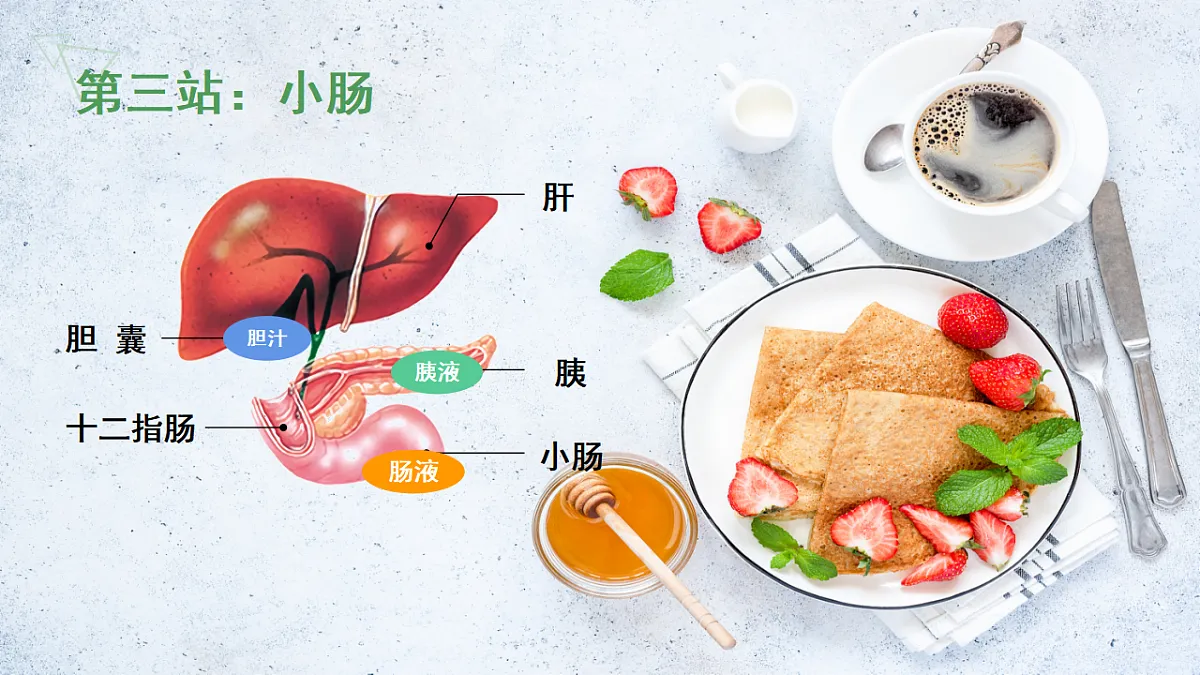 17877091第4页