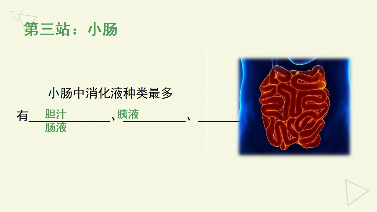 17877091第5页