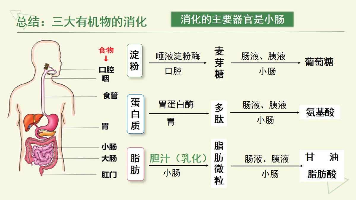 17877091第6页