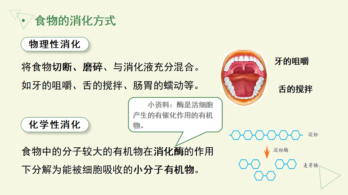 17877091第7页