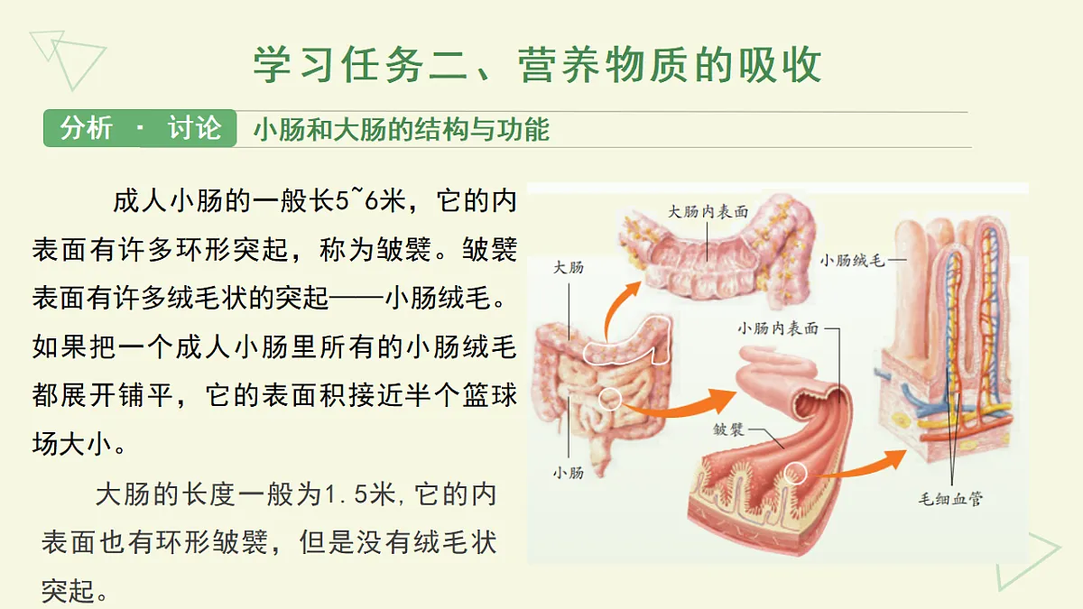 17877091第8页