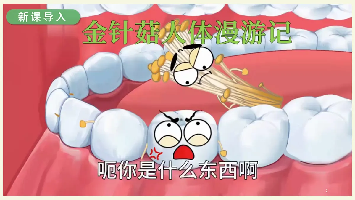 17877092第2页
