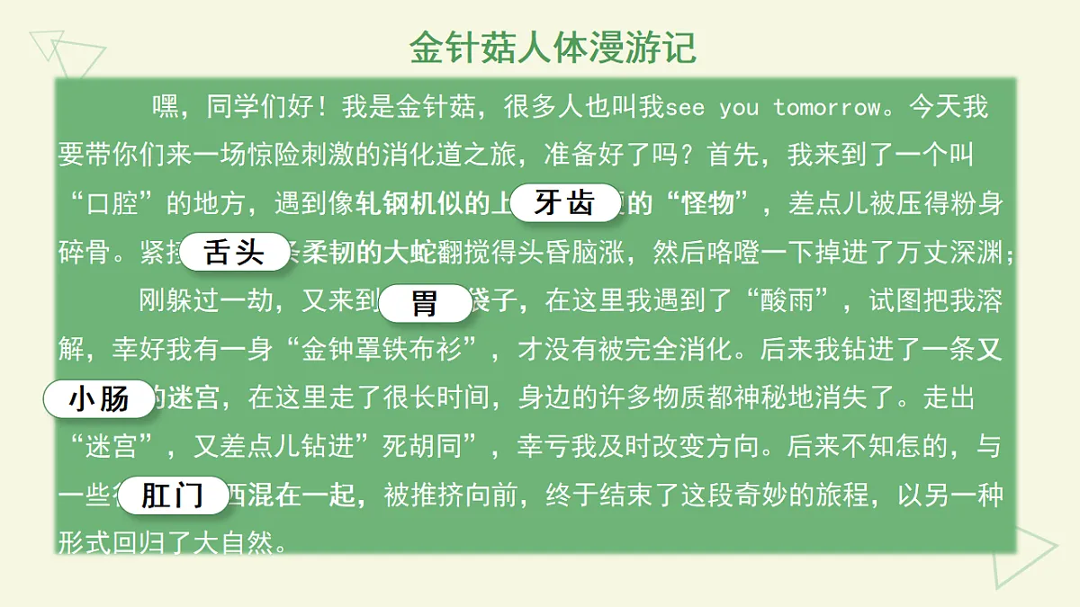 17877092第3页