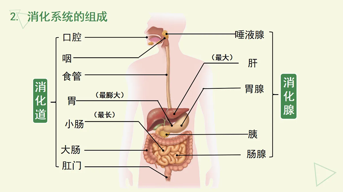 17877092第5页