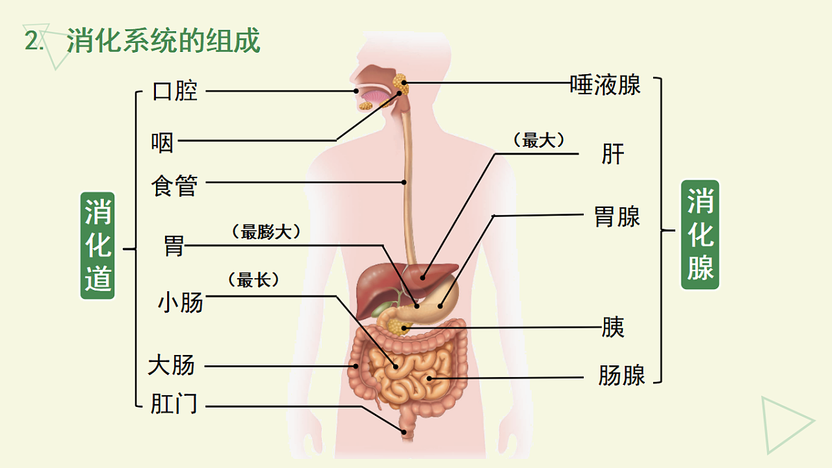 17877092第5页